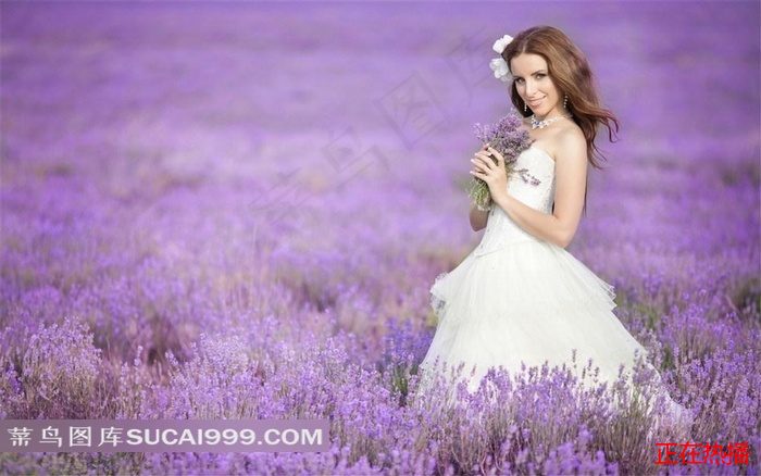 金瓶海之婬乱天在线观看 · 超过10季的美剧都有哪些 精彩合辑