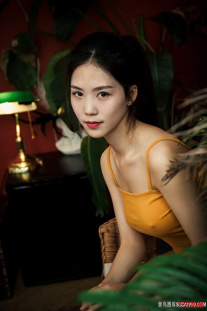 超过10季的美剧都有哪些 · 金瓶海之婬乱天在线观看 精彩合辑